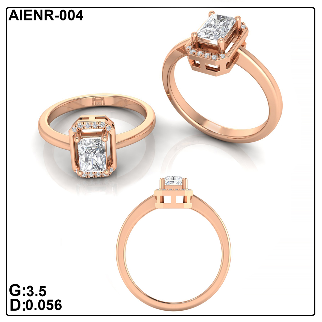 AIENR-004