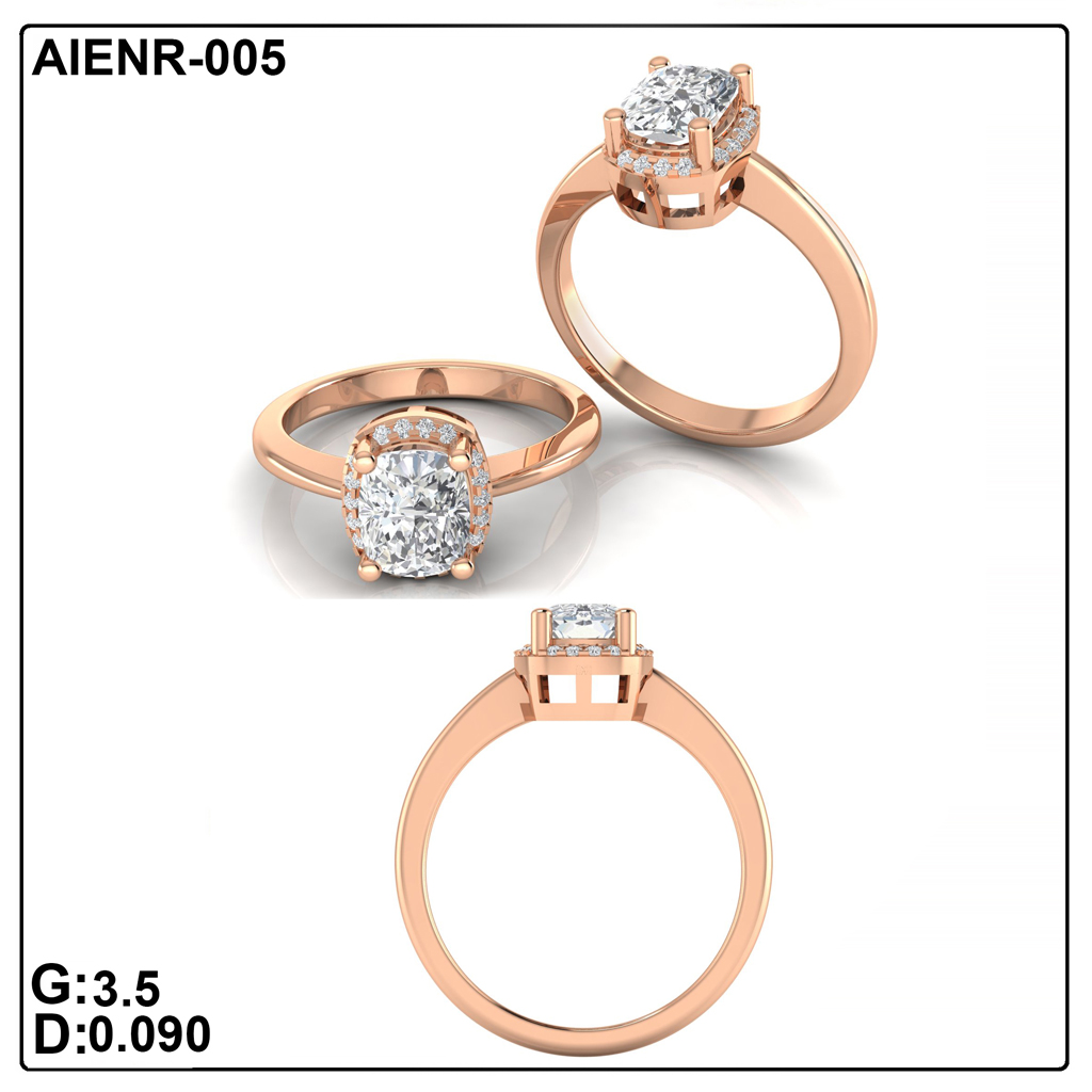 AIENR-005
