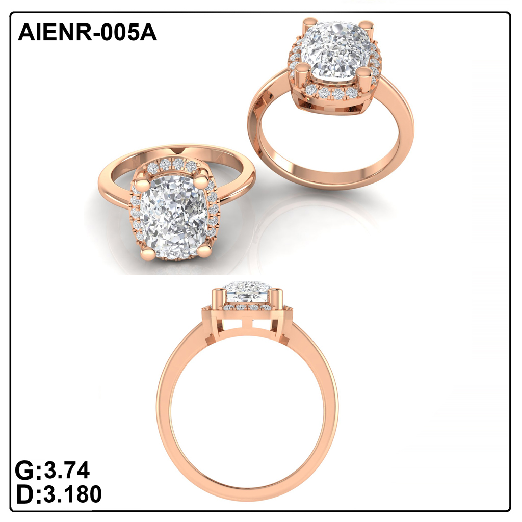 AIENR-005A