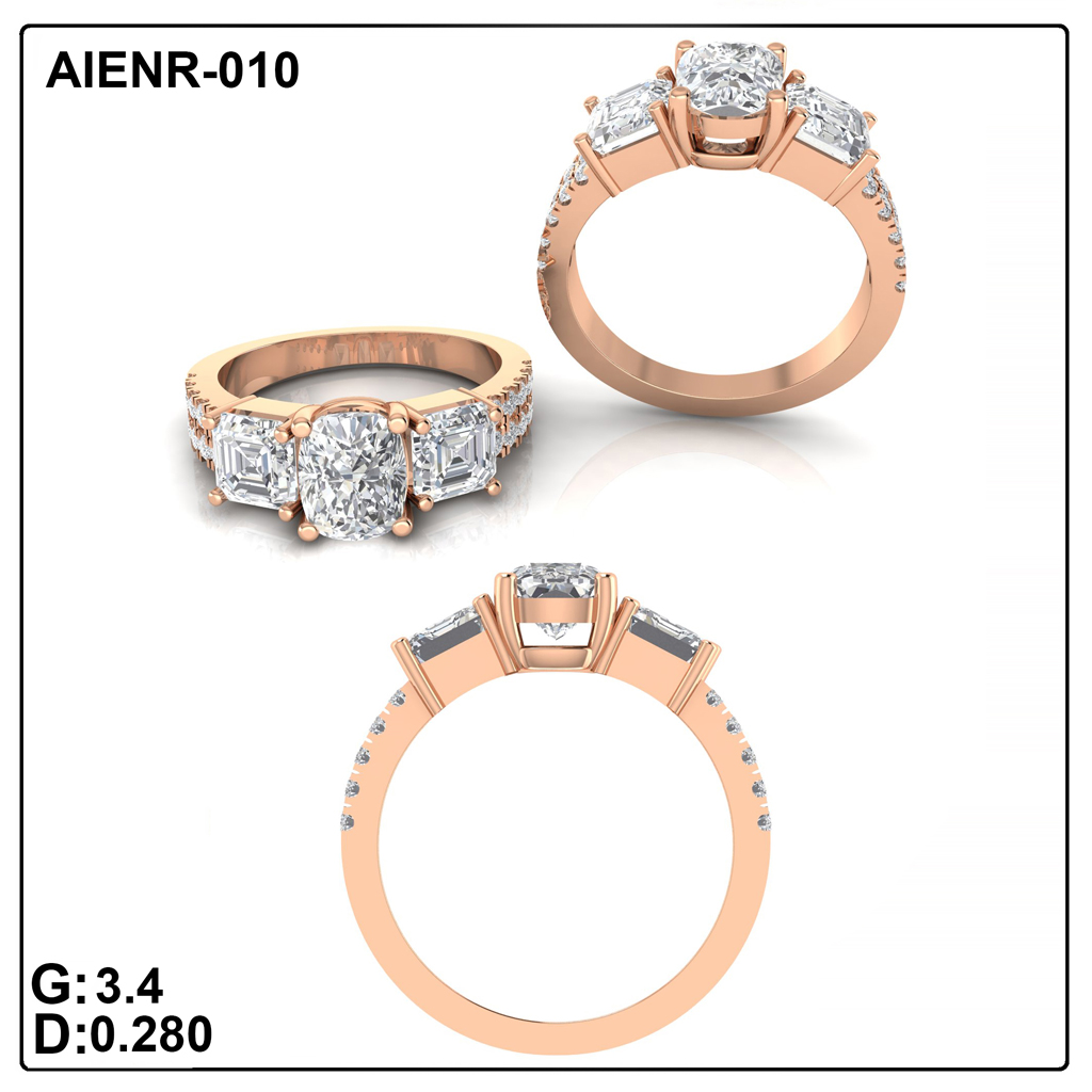 AIENR-010