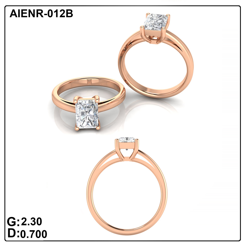 AIENR-012B