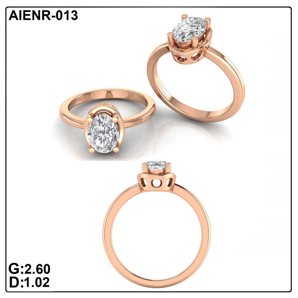 AIENR-013