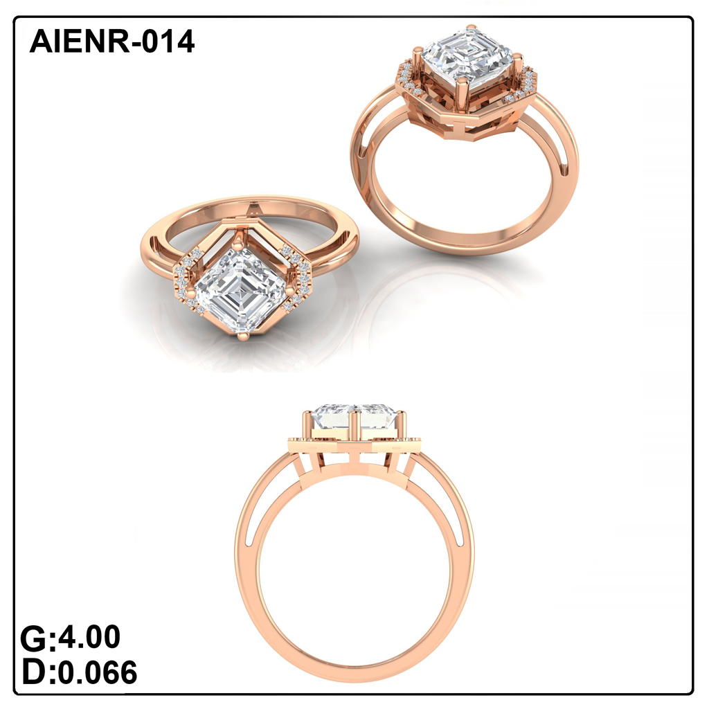 AIENR-014
