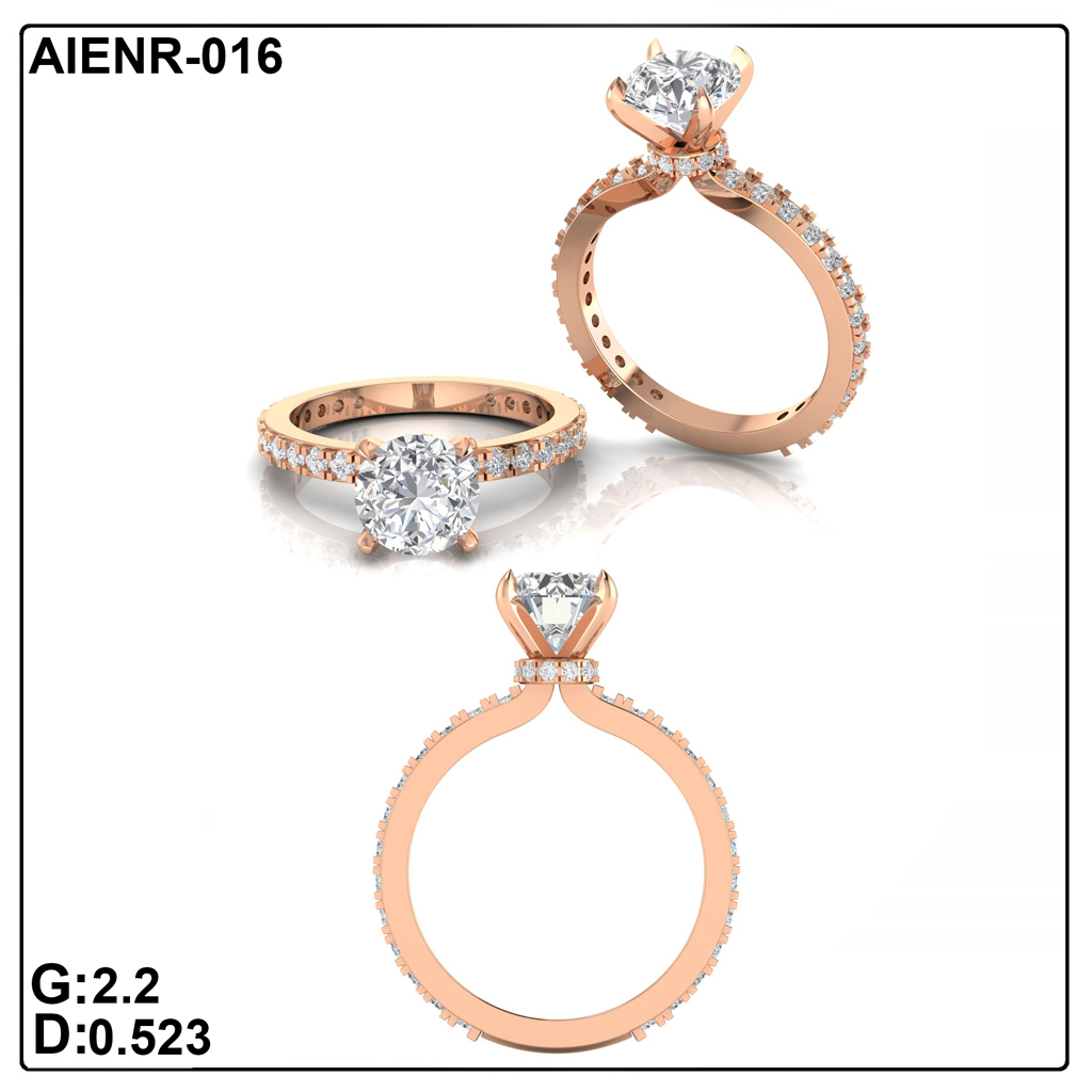 AIENR-016
