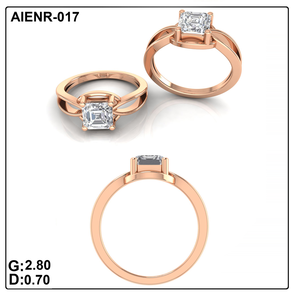 AIENR-017
