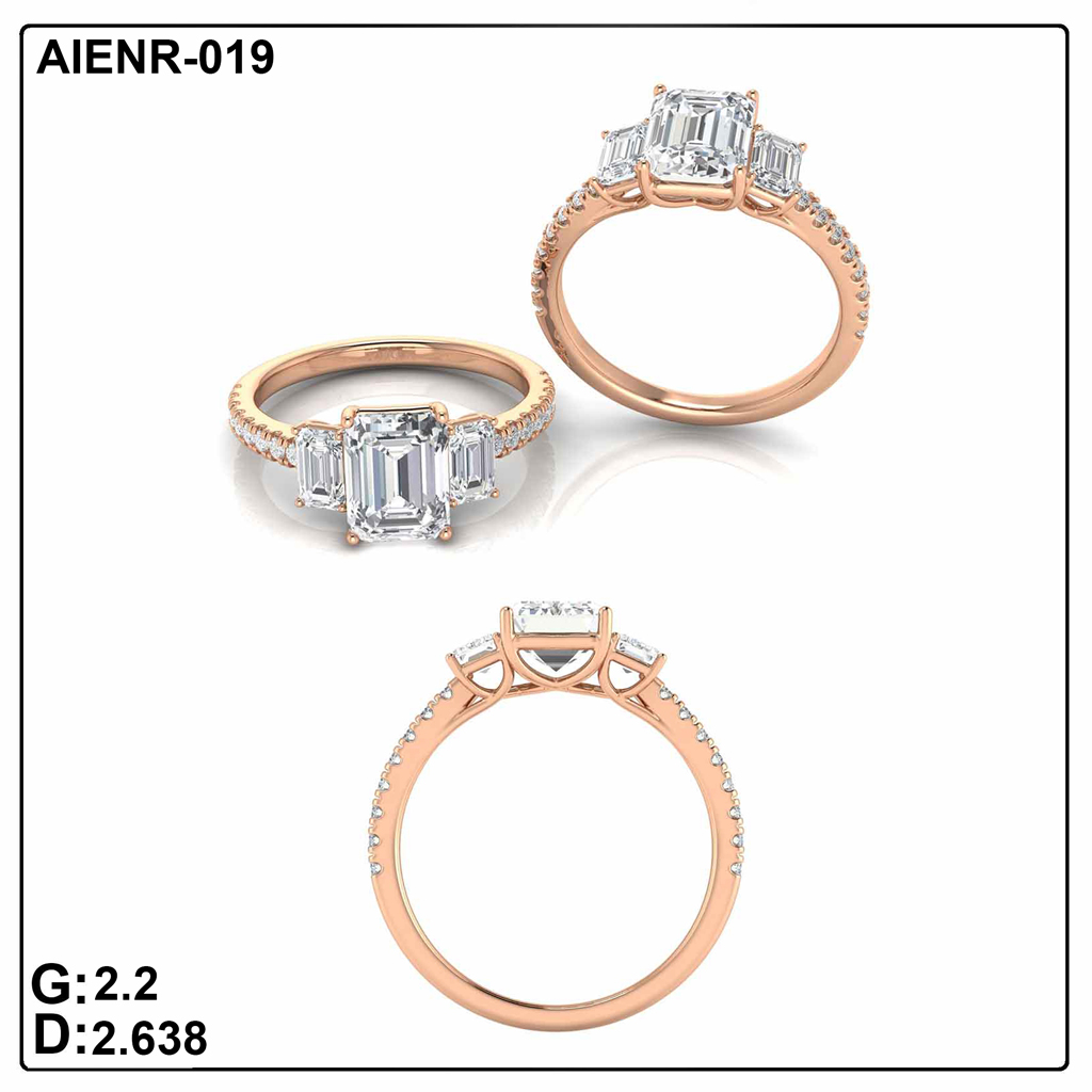 AIENR-019