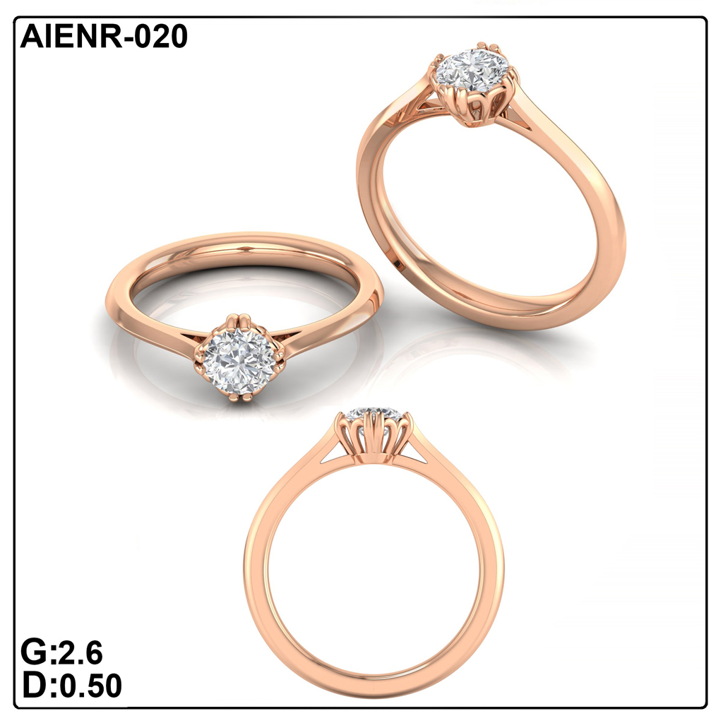 AIENR-020
