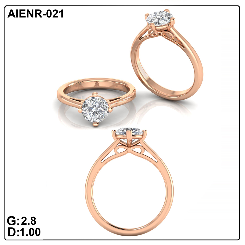 AIENR-021