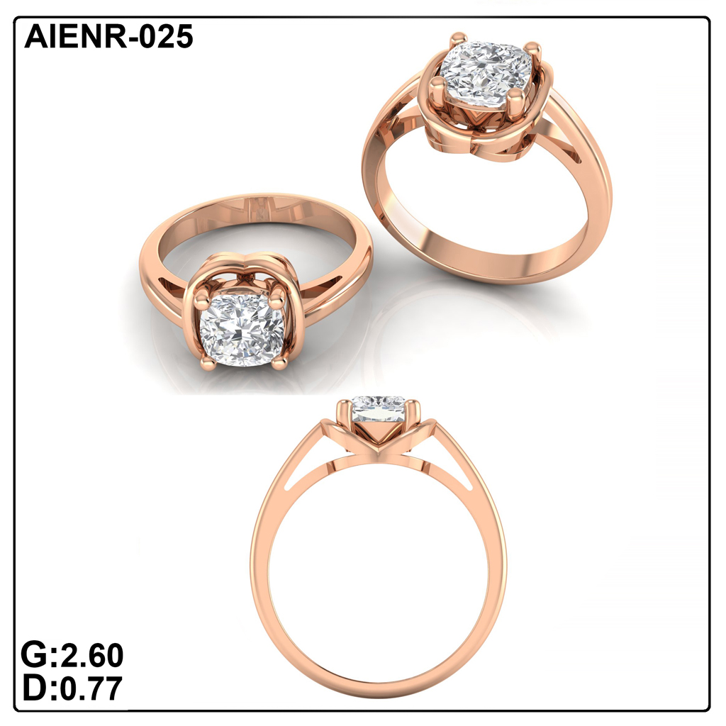 AIENR-025
