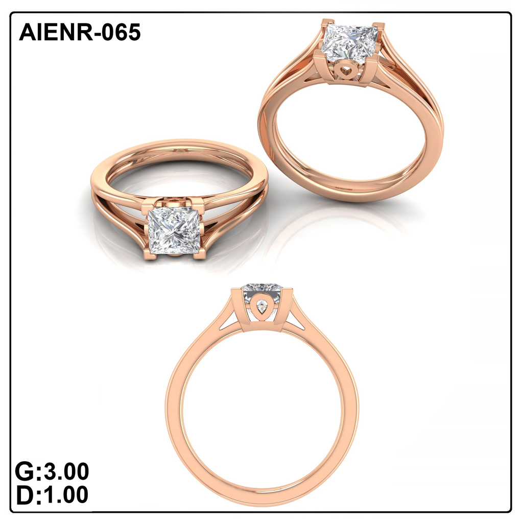 AIENR-065