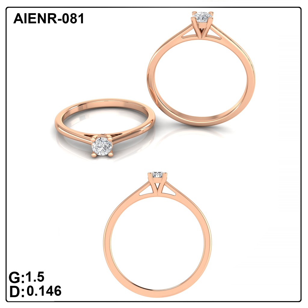 AIENR-081