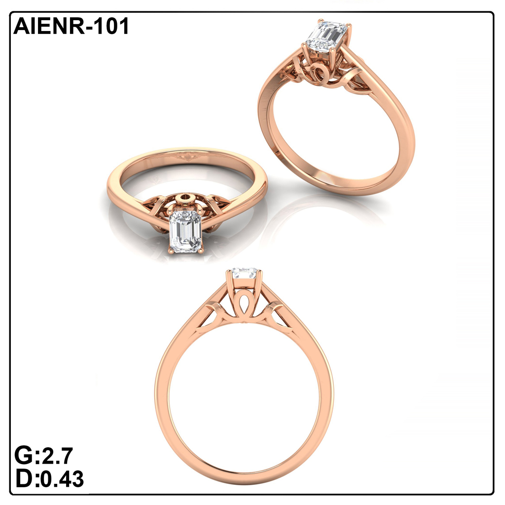 AIENR-101
