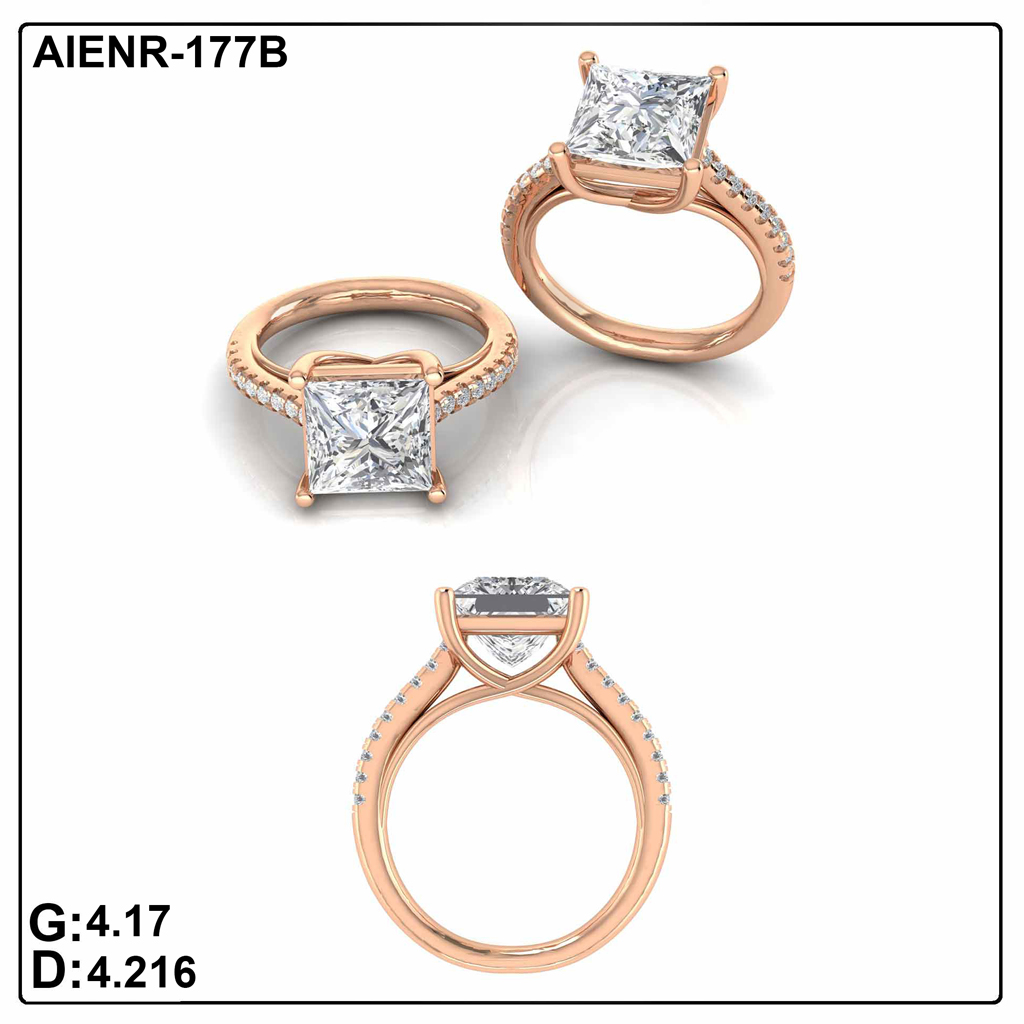 AIENR-177B