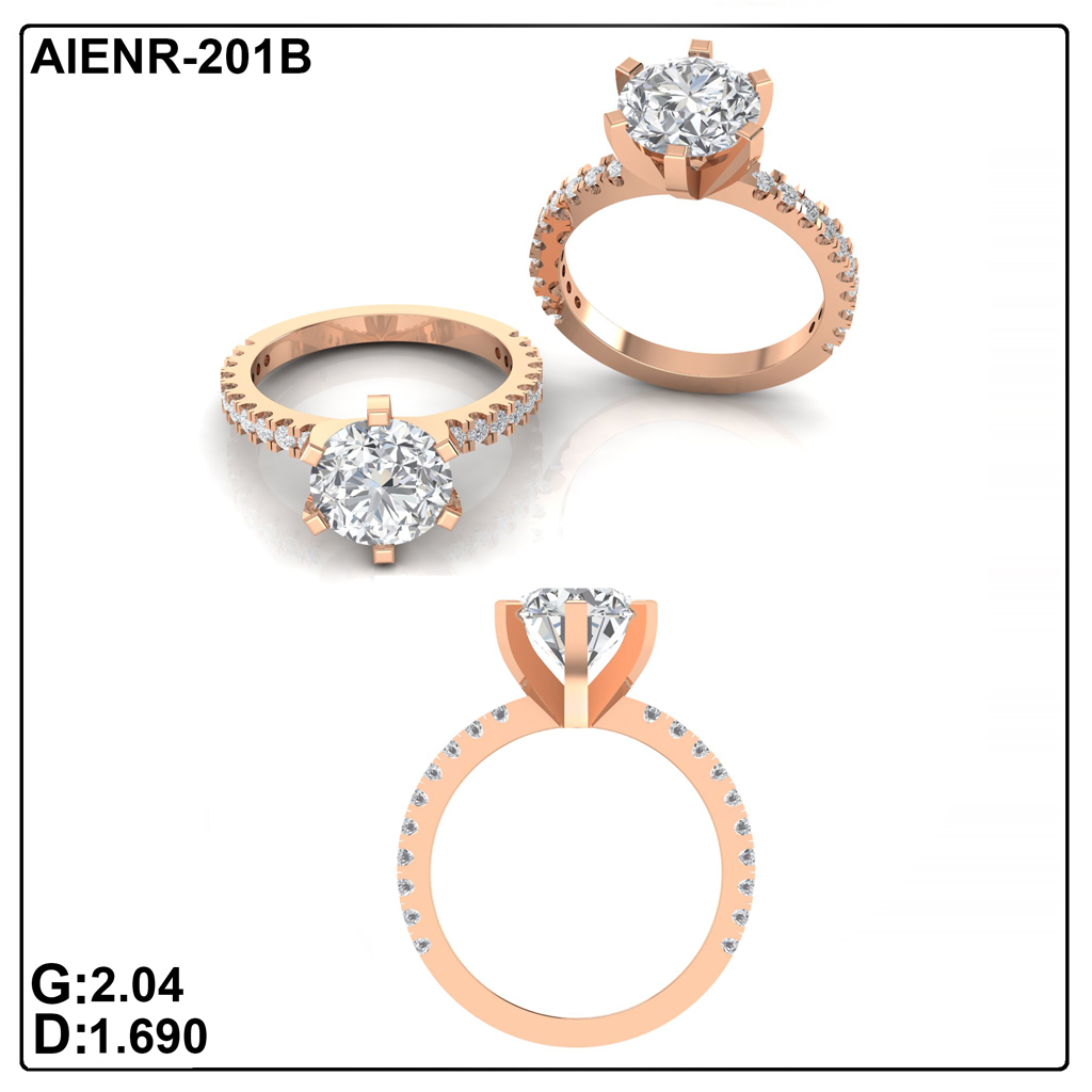 AIENR-201B