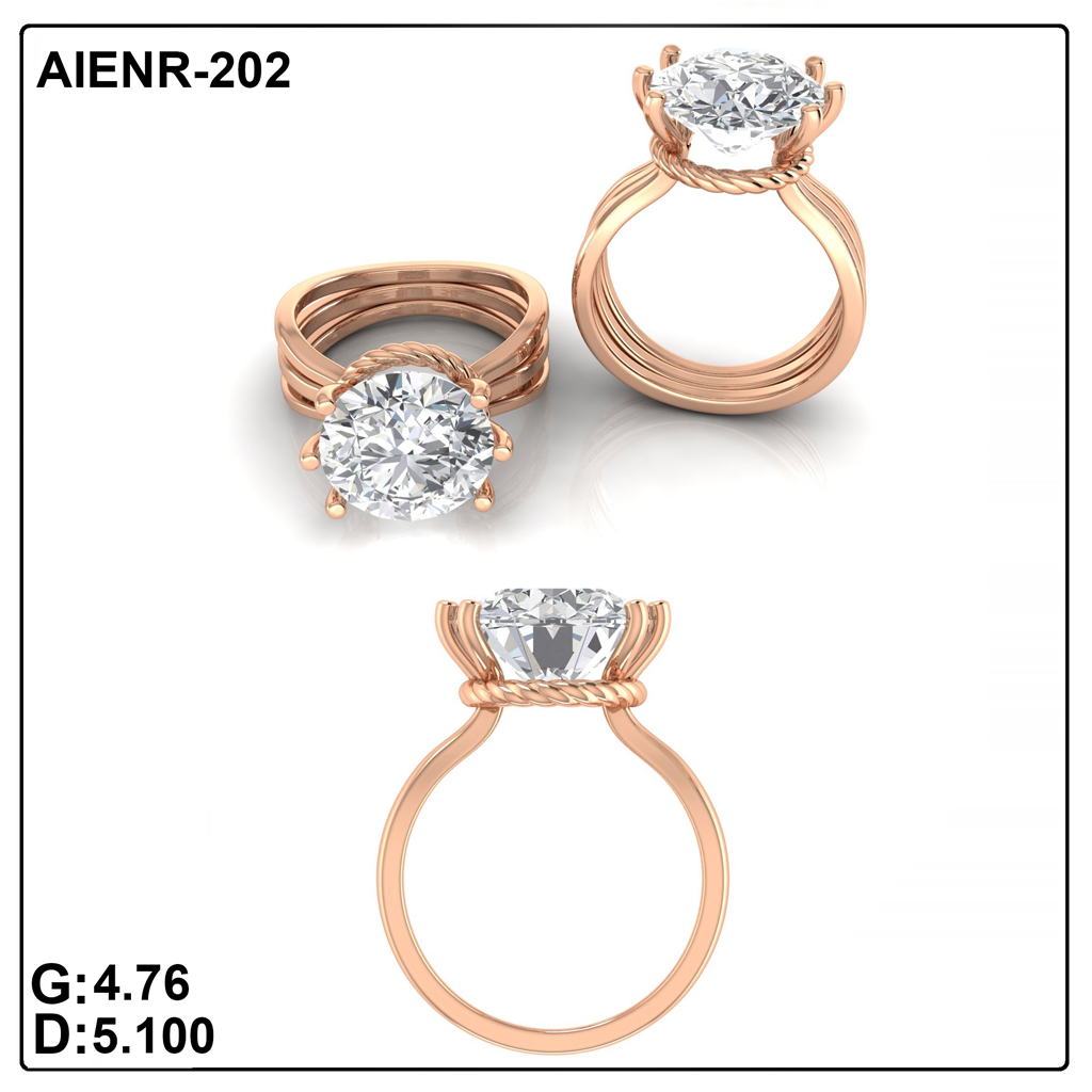 AIENR-202