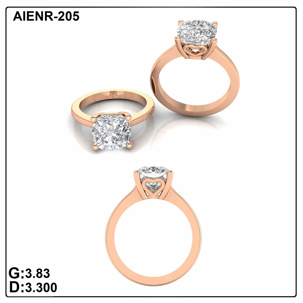 AIENR-205