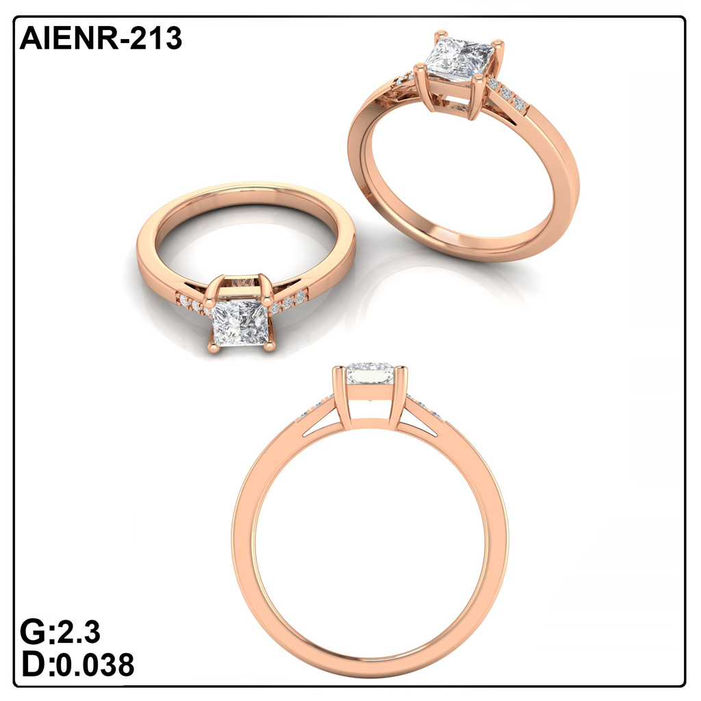 AIENR-213