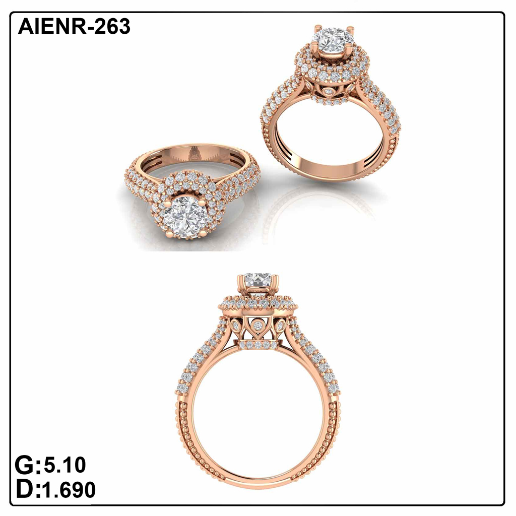 AIENR-263