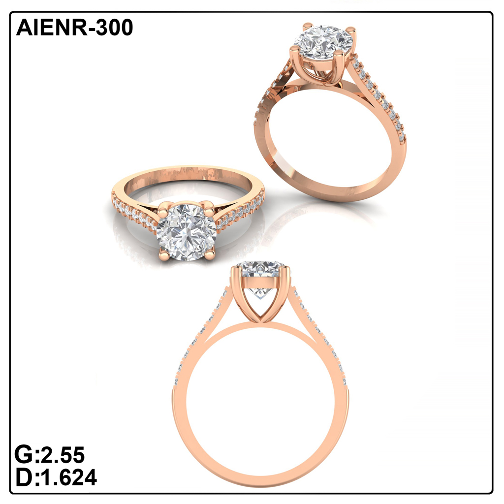 AIENR-300