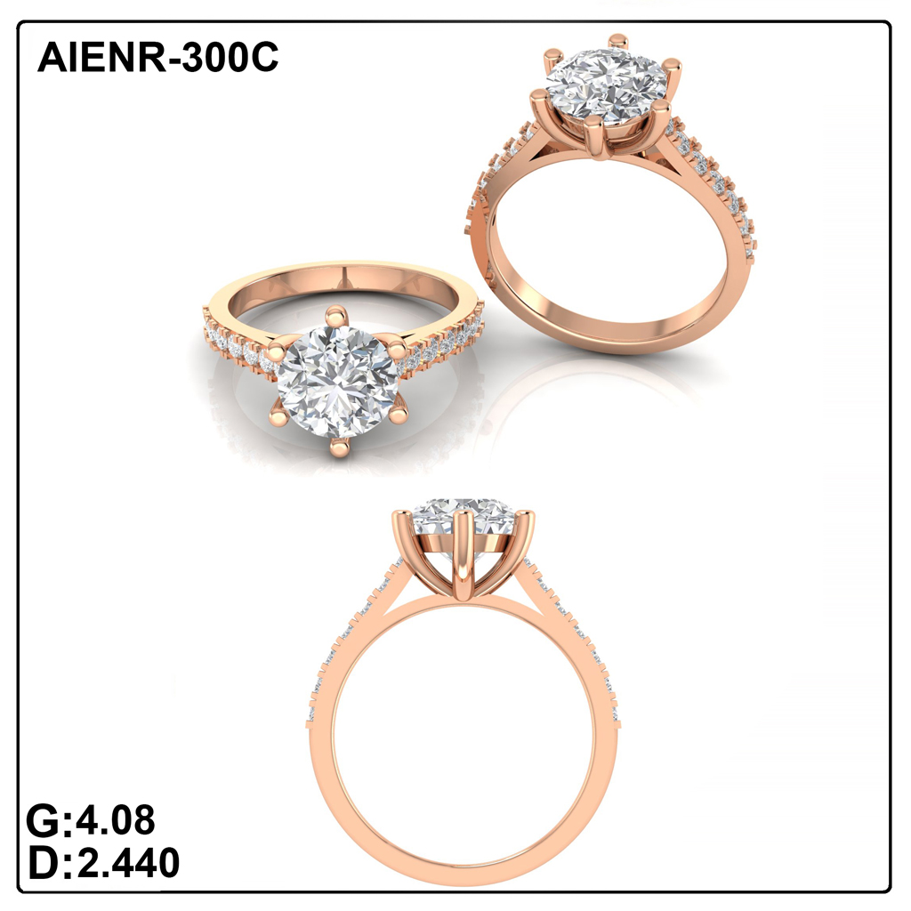 AIENR-300C