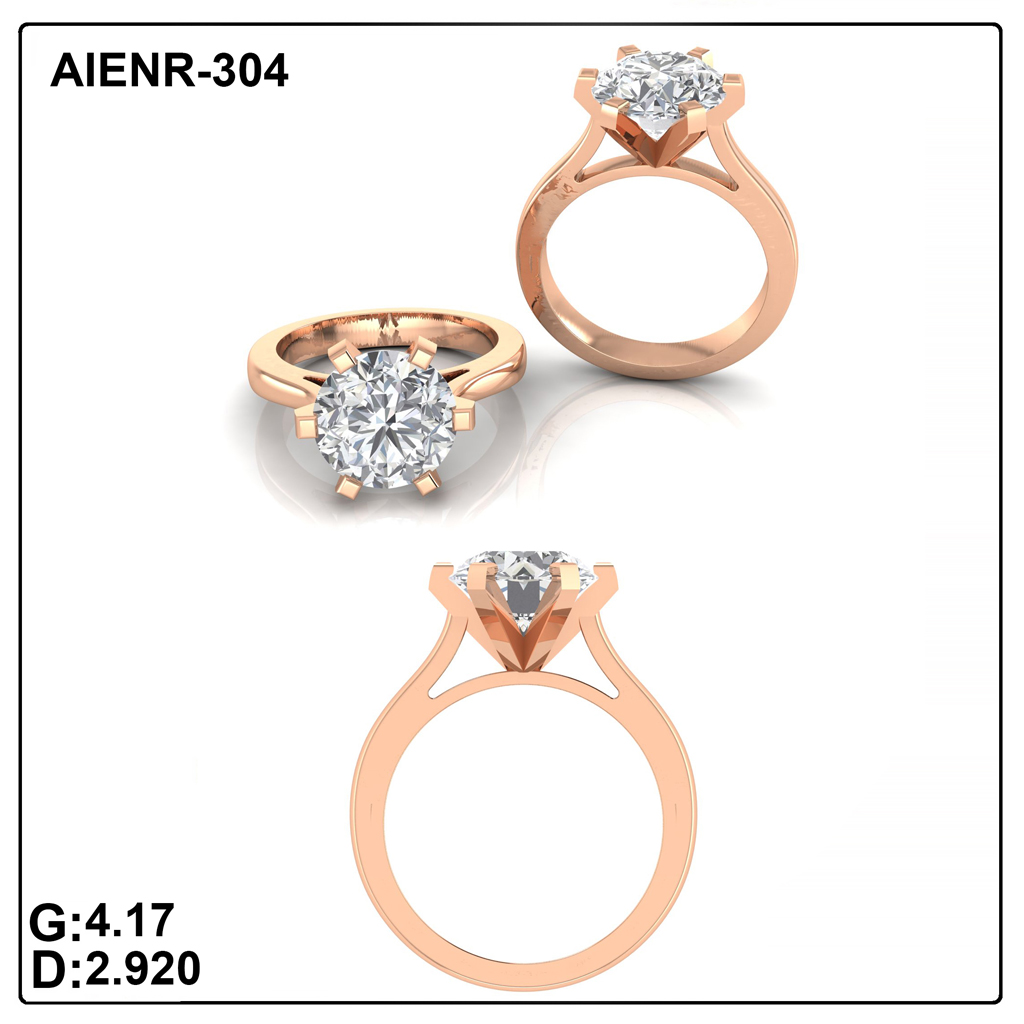 AIENR-304
