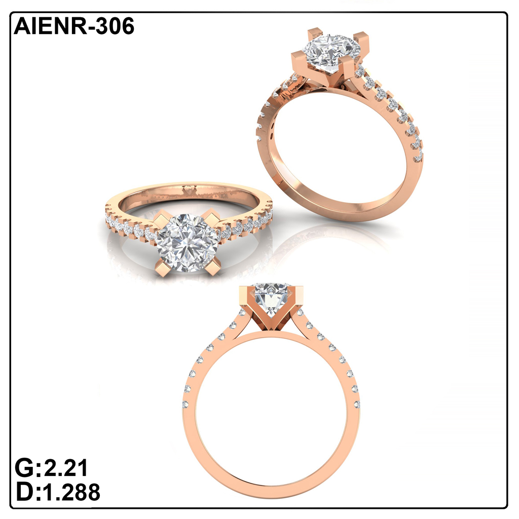 AIENR-306