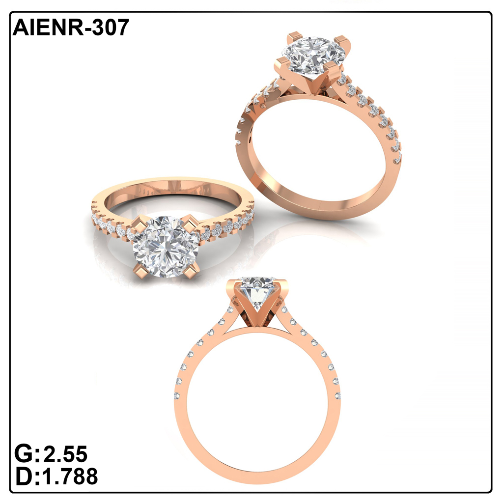 AIENR-307