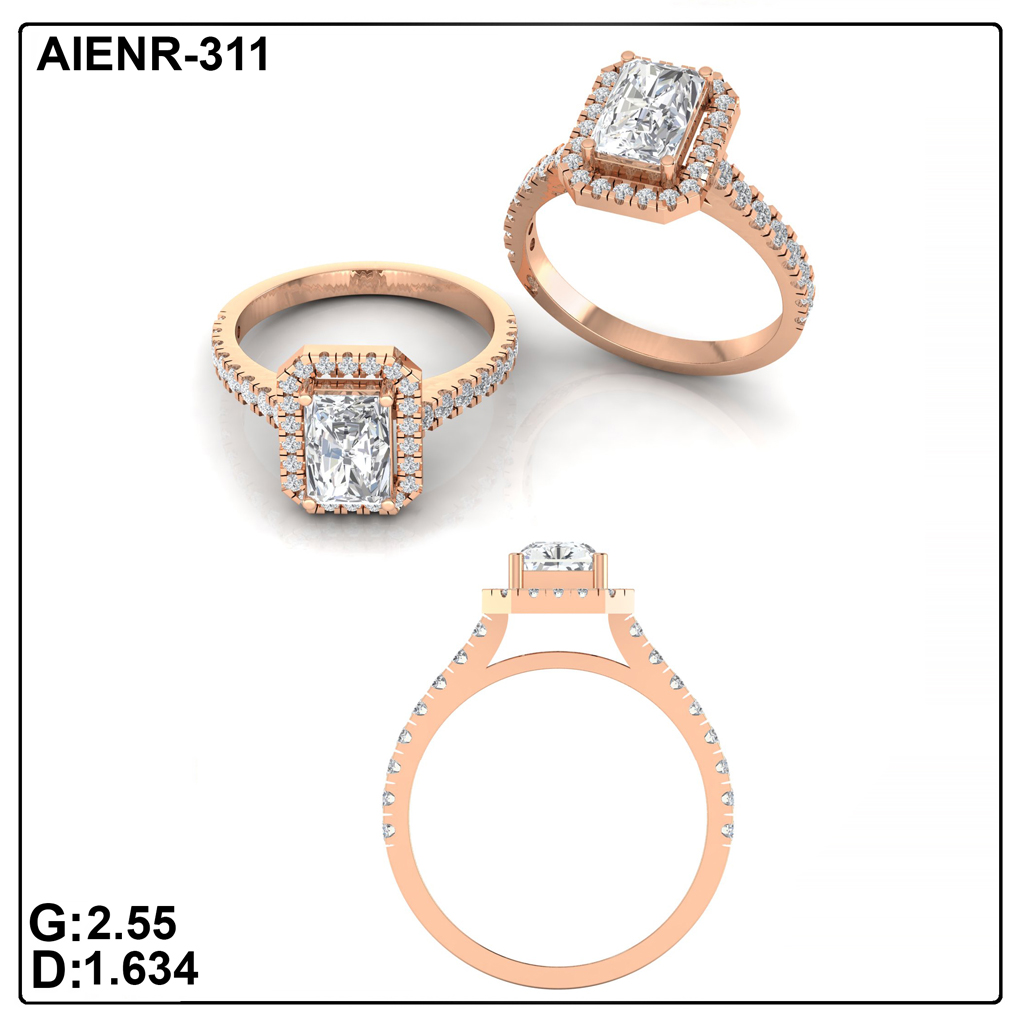 AIENR-311