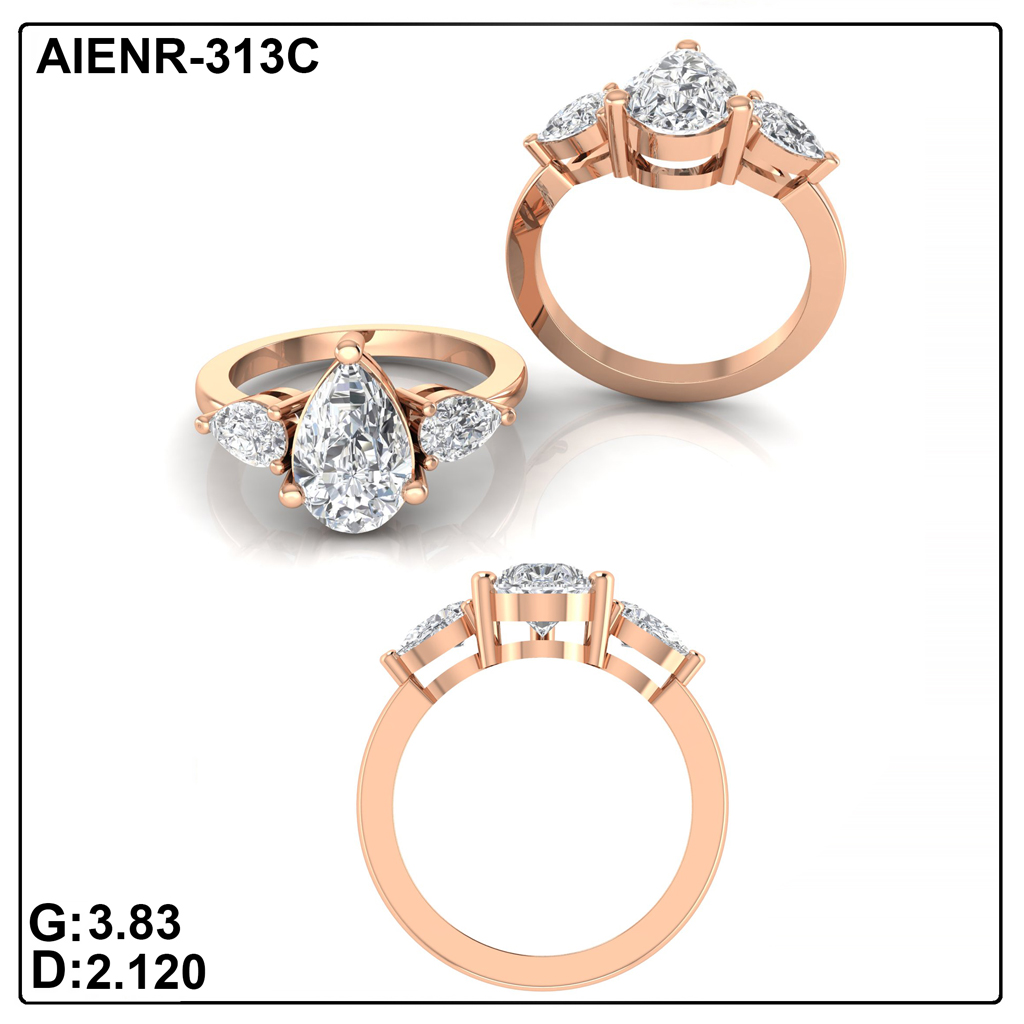 AIENR-313C