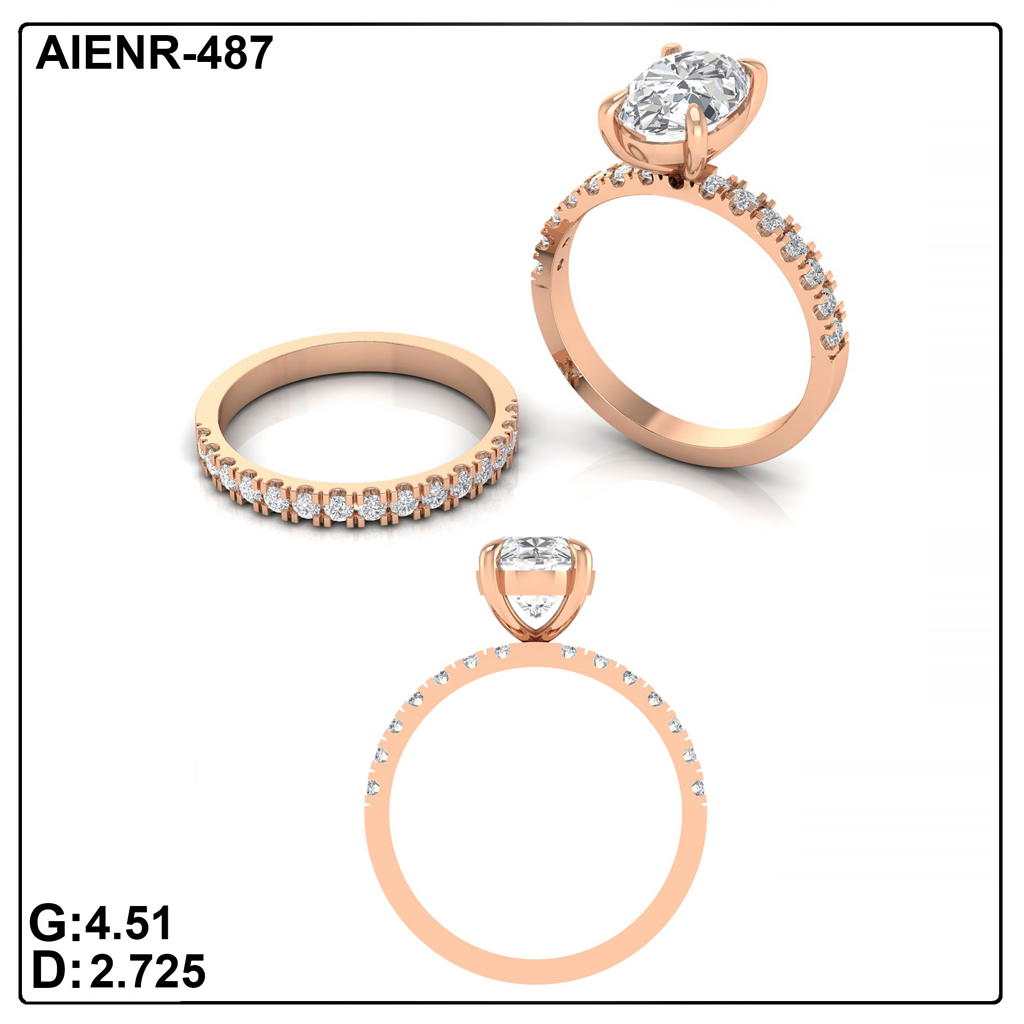AIENR-487