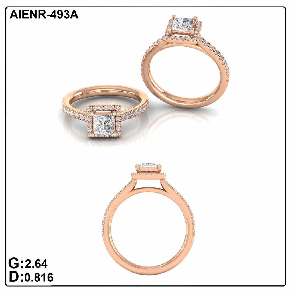 AIENR-493A