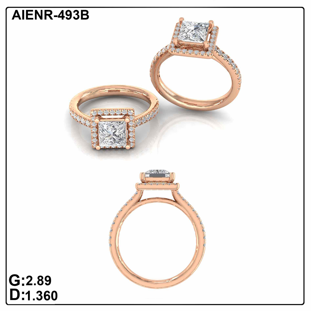 AIENR-493B
