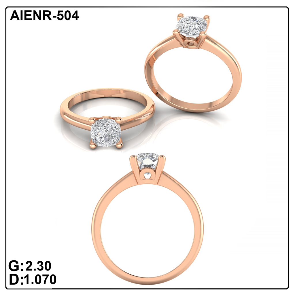 AIENR-504