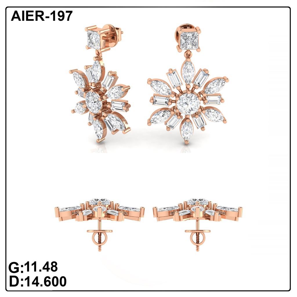 AIER-197