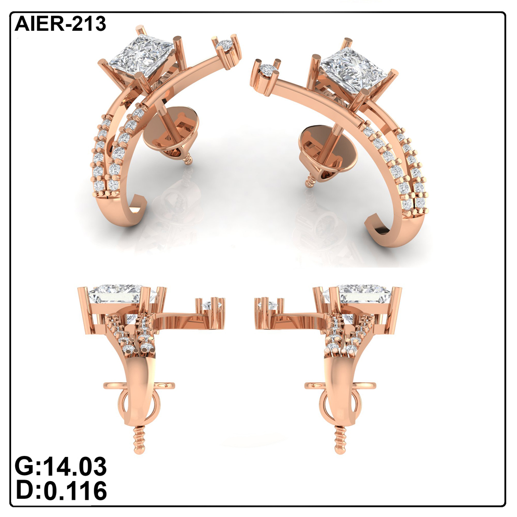AIER-213