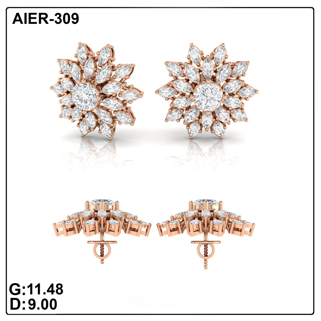 AIER-309