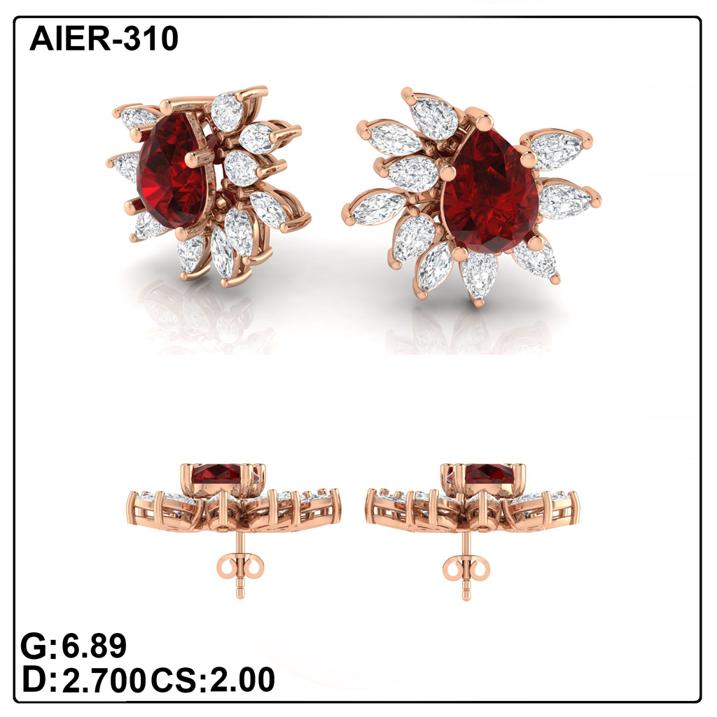 AIER-310